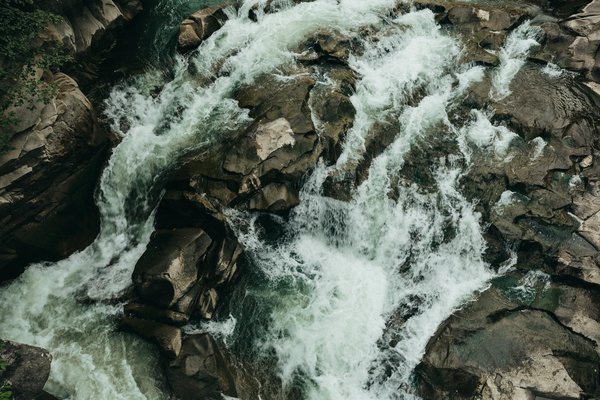 Quels itinéraires de croisière sont les meilleurs pour découvrir les îles Falkland?