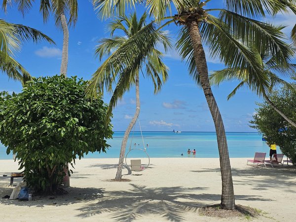 Où participer à des ateliers de fabrication de paniers en Amazonie?
