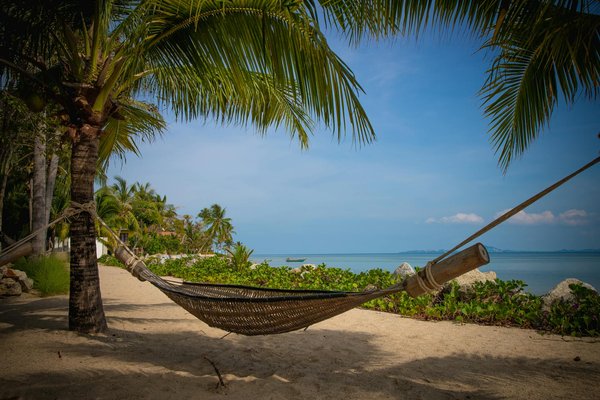 Où apprendre les techniques de la fabrication de fromage de chèvre en Grèce?