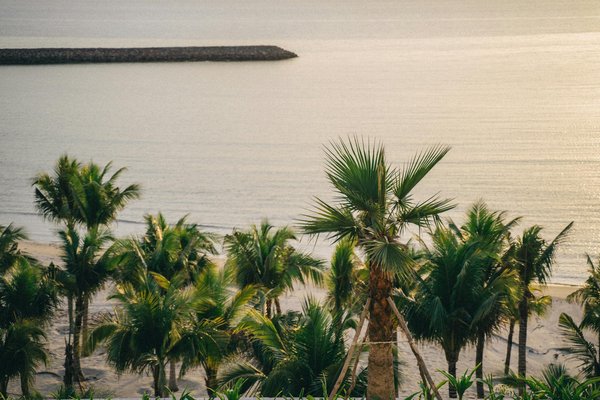 Comment découvrir les traditions de la cuisine mexicaine à Oaxaca, Mexique?