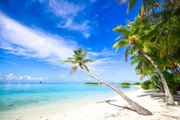 Quels sont les meilleurs itinéraires pour une randonnée dans les montagnes du Caucase en Géorgie?