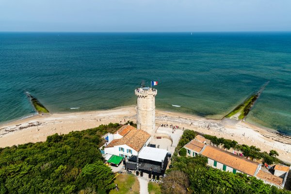 Quelles croisières offrent des excursions pour observer les baleines en Alaska?